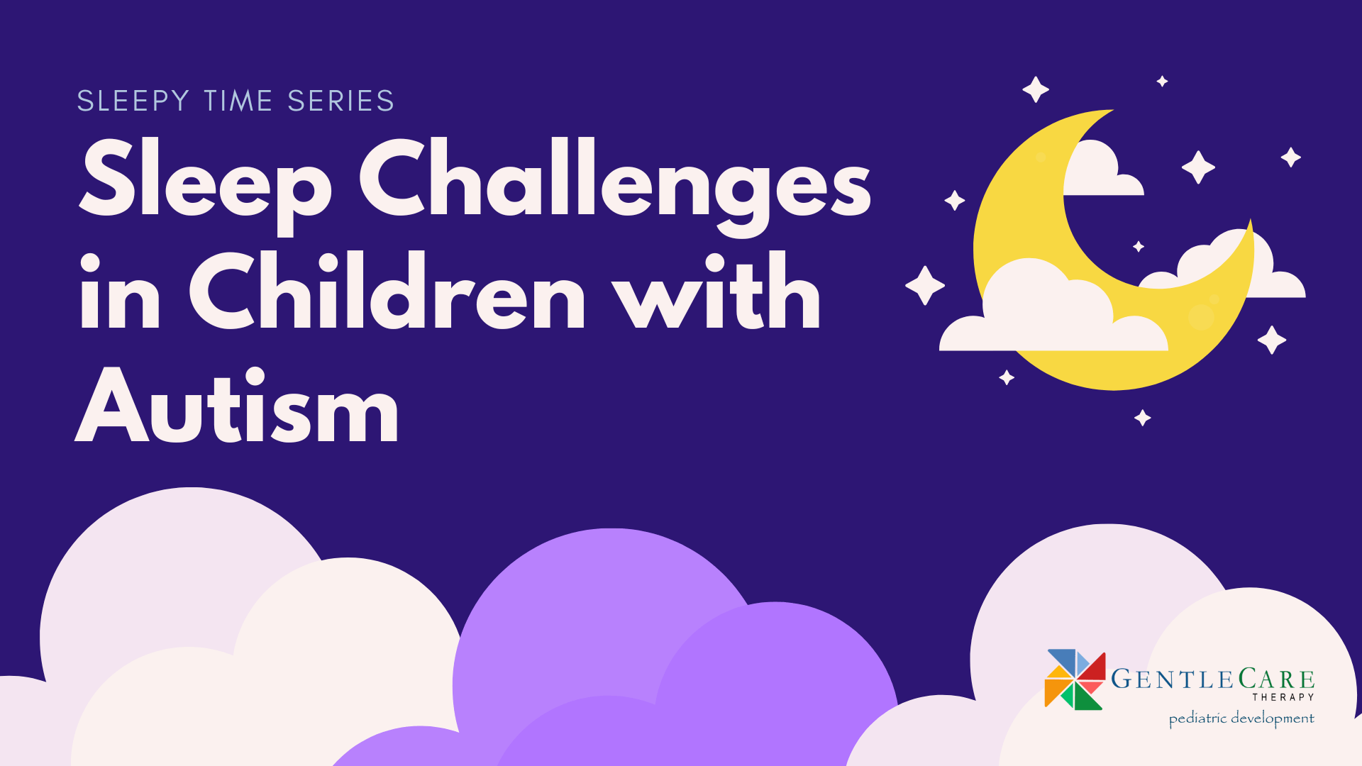 Sleepy Time Series: Sleep Challenges in Children with Autism